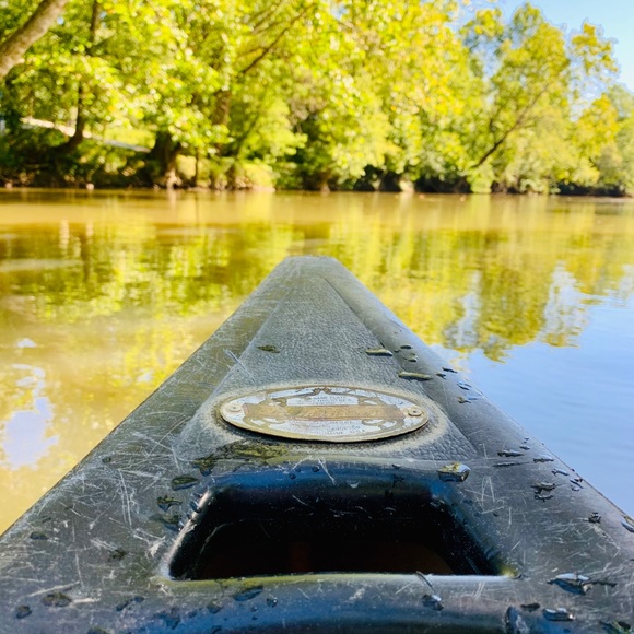 Meet your Posher, Яα¢нєℓ - Picture 3 of 15